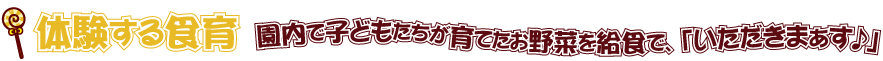 体験する食育～園内で子どもたちが育てたお野菜を給食で、「いただきまぁす♪」～