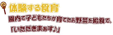 体験する食育～園内で子どもたちが育てたお野菜を給食で、「いただきまぁす♪」～